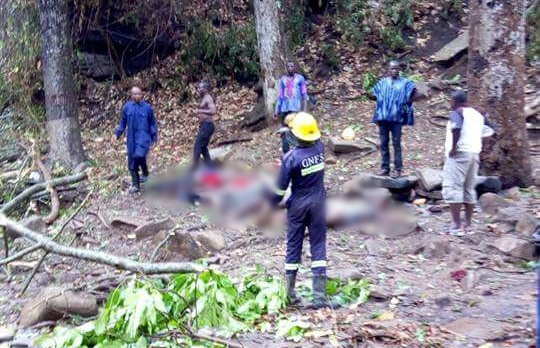 20 persons died and more than 30 left with various degrees of injuries after trees at the waterfalls