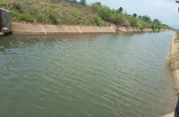 The 2000-hectare Kpong Left Bank Irrigation Project