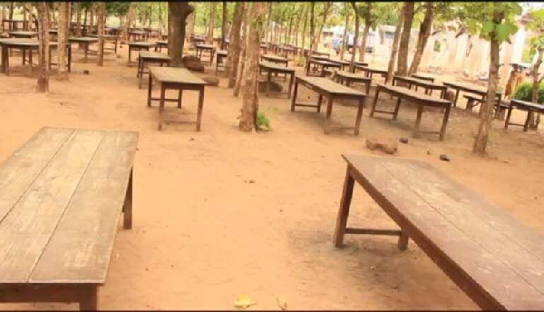 Students learning under trees