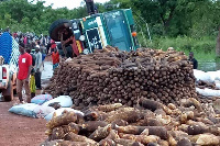 The abandoned farm produce on the eastern corridor road