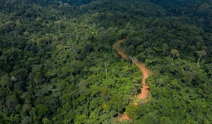 Gov’t introduces new legislation to revoke mining rights in forest reserves