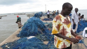 Fisherman Nets