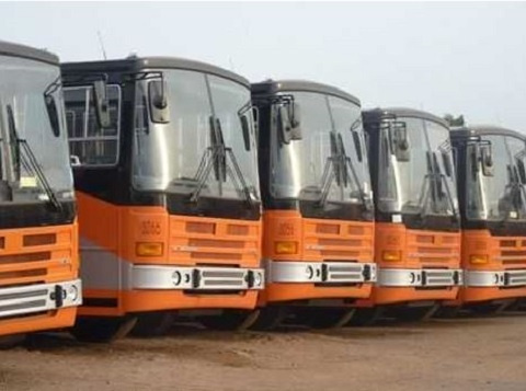 Metro Mass Transit buses