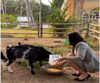 Her Excellency Anne Sophie Ave seen feeding her pets