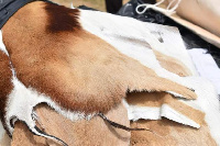 Animal skins are used to make clothes, shoes and handbags