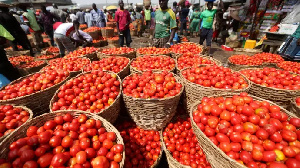 Tomato market