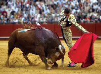 Bullfighting in Spain