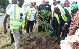 The NDC Planting Trees To Mark The June 4th Anniversary