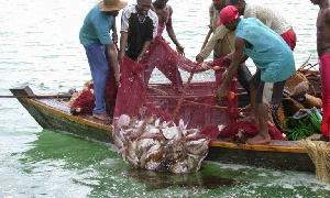 The ban according to the fisheries ministry is to save some species of fishes