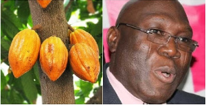 Traces of mercury found in Ghana's cocoa beans