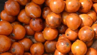 Alasa fruit