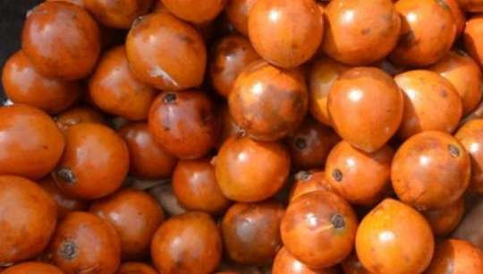 Alasa is a popular fruit in West Africa