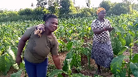 The farmers are pleading with the govt to open the borders