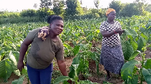 The farmers are pleading with the govt to open the borders