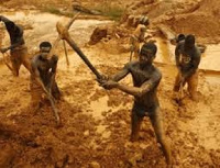 The illegal miners arrested by the operation vanguard team