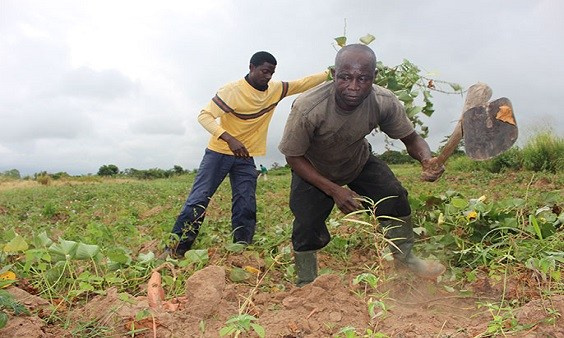 The donations is to help support government's Planting for Food and Jobs initiative