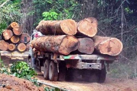 The plaintiff wants illegal special logging permits to be curtailed