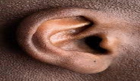 A photo of an ear