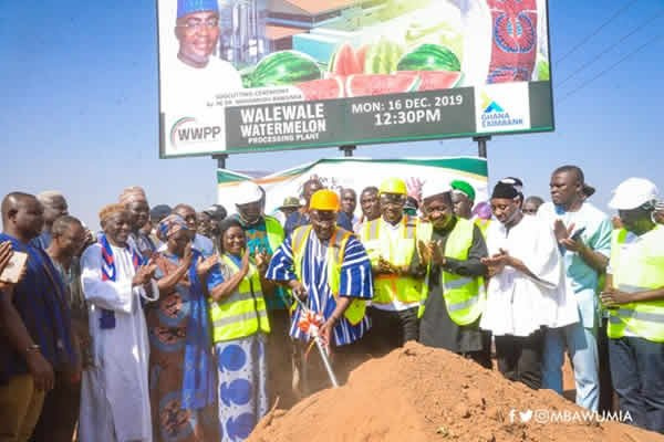 Dr Mahamudu Bawumia cutting sod for the construction of watermelon processing factory