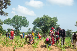 Farmers Day 3321