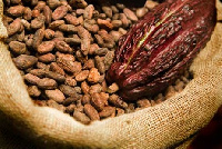 Cocoa is a key export commodity for Ghana