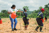 NAELP personnel have reclaimed over 1000 hectares of land from illegal miners in the Western North