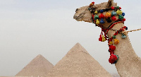 Egypt's tourism has been affected by coronavirus closures