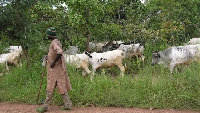 Adaklu Waya residents demonstrated against the activities of fulani herds men is the area