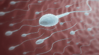 Egg and sperm donors are cashing in from a growing business