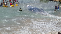 Whale found on the shores of Moree