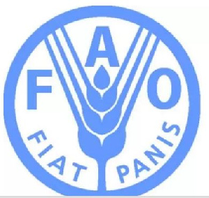 FAO logo