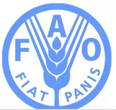 FAO logo