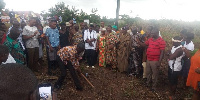 Sod being cut for the construction of the market