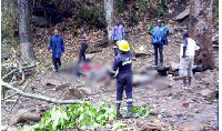 18 persons died and more than 30 left with various degrees of injuries after trees fell there