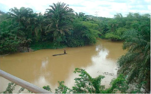 A number of water bodies in Ghana have been polluted