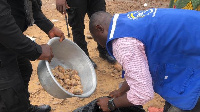 Turkey tail also known as tsofi is banned in Ghana because of its high percentage in fat