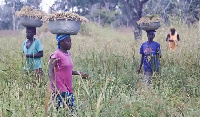 Some farmers tending their farms