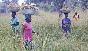 Some farmers tending their farms