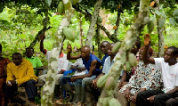 Cocoa farmers in Ghana