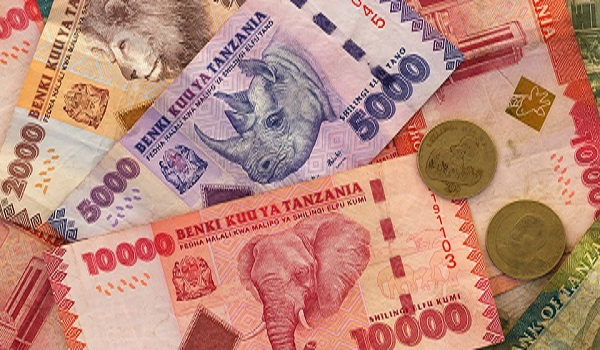 Tanzanian shillings