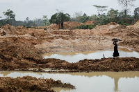 A section of a cocoa plantation destroyed by illegal gold mining activies [Francis Kokoroko/Reuters]