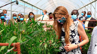 UK High Commissioner to Kenya Jane Marriott at a greenhouse at Ibis farm,  | JOSEPH KANYI | NMG