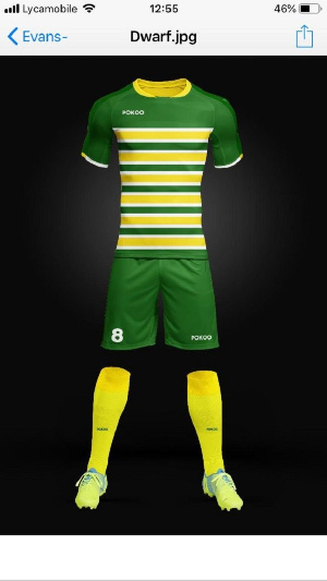 Ebusua Dwarfs jersey