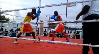 File photo - Boxers in action