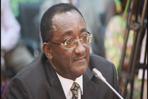 Dr. Owusu Afriyie-Akoto, Minister for Agriculture