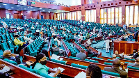 Members of the House of Representatives during plenary