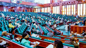 Members of the House of Representatives during plenary