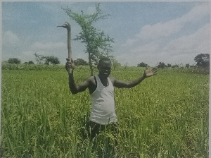 Rev. Fr. Akologo Dominic Azumah