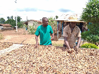 Cocoa farmers