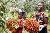 File photo oil palm farmers